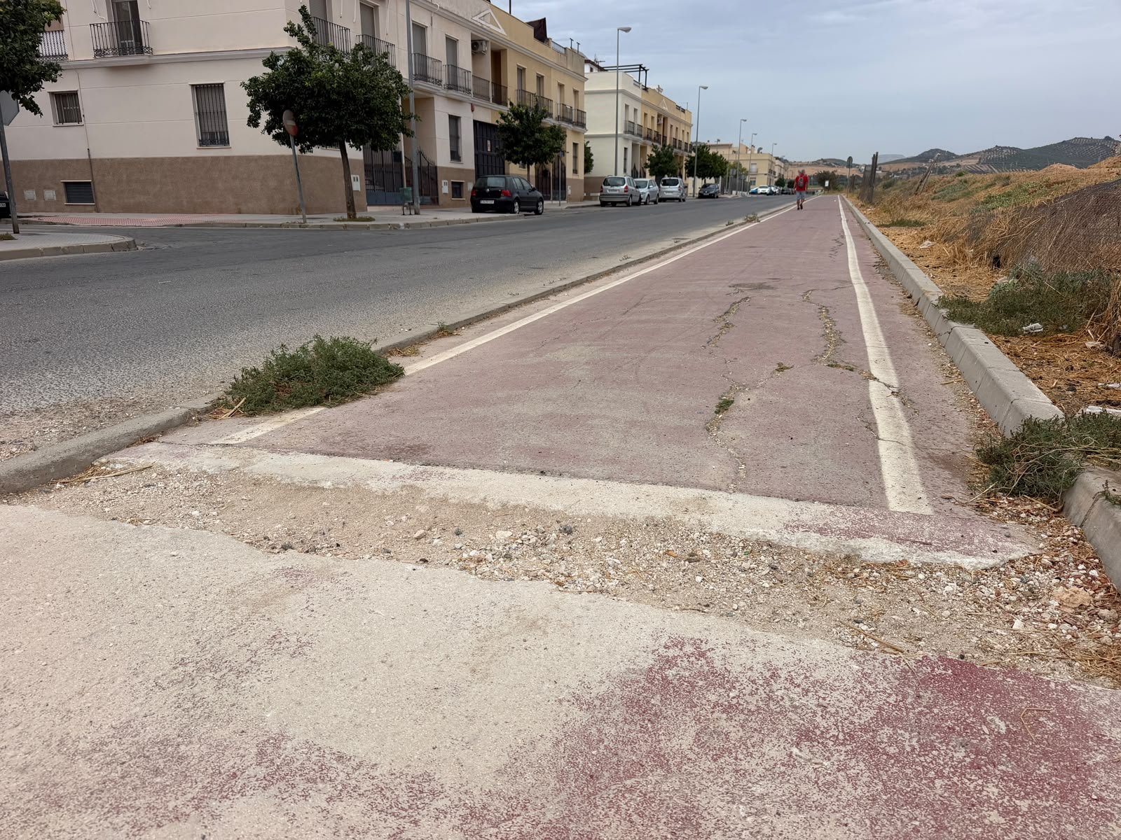 Vecinos de Puente Genil reclaman finalizar un tramo de carril bici en La Pitilla