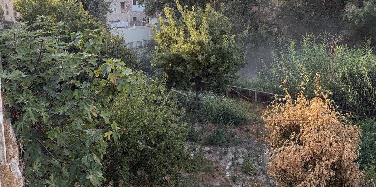 EGEMASA prepara la eliminación de los cañaverales invasores del río Genil este otoño
