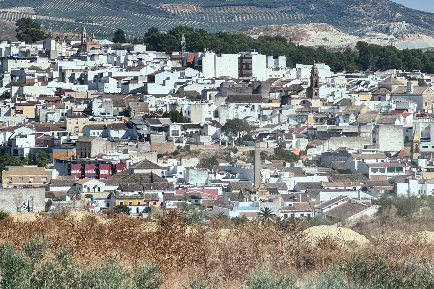 Puente Genil alcanza una renta media bruta de 23.055 euros y se sitúa entre los municipios con mayores ingresos de Córdoba